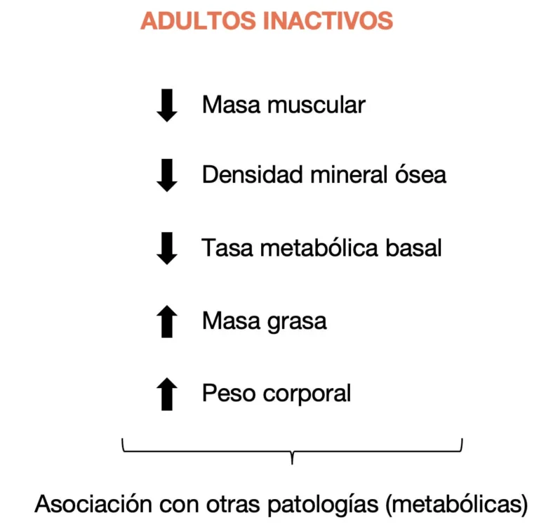 Efectos de la inactividad física en adultos sobre la composición corporal y el metabolismo