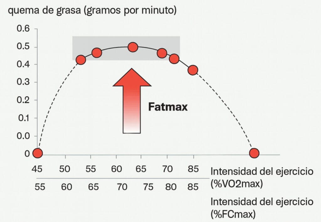 Gráfico de la quema de grasa en función de la intensidad del ejercicio, con el punto máximo de oxidación de grasas (Fatmax).