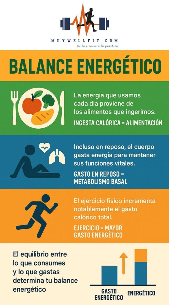 Infografía sobre el balance energético que explica la relación entre ingesta calórica, metabolismo basal y gasto por ejercicio.